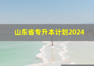 山东省专升本计划2024