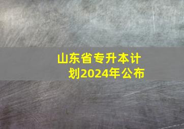 山东省专升本计划2024年公布