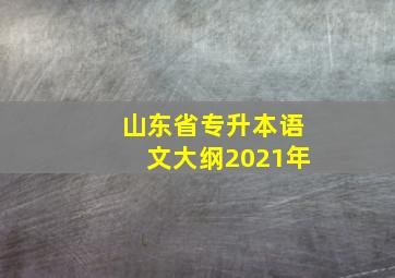 山东省专升本语文大纲2021年