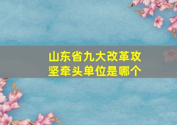 山东省九大改革攻坚牵头单位是哪个