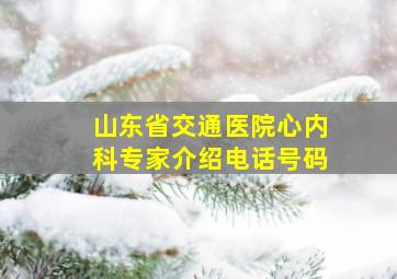 山东省交通医院心内科专家介绍电话号码