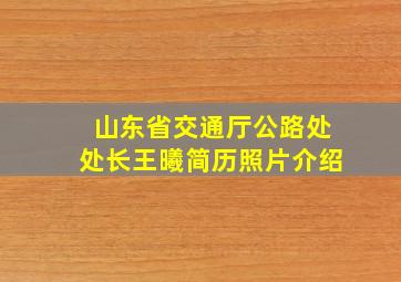 山东省交通厅公路处处长王曦简历照片介绍