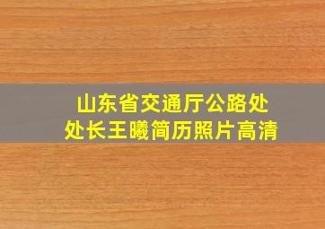 山东省交通厅公路处处长王曦简历照片高清