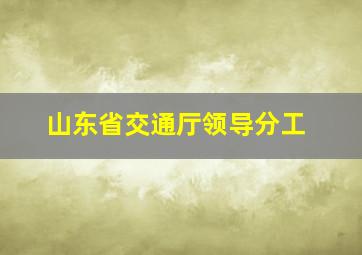 山东省交通厅领导分工