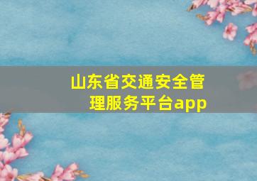 山东省交通安全管理服务平台app