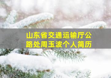 山东省交通运输厅公路处周玉波个人简历