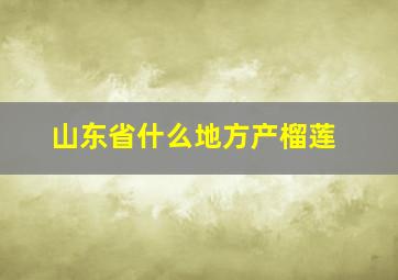 山东省什么地方产榴莲