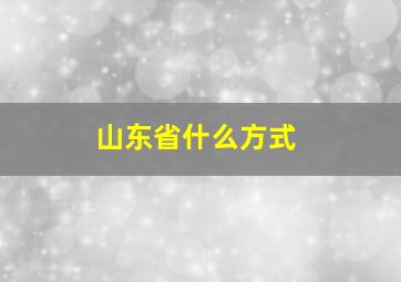 山东省什么方式