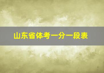 山东省体考一分一段表