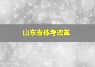 山东省体考改革