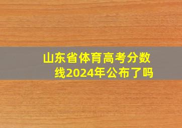 山东省体育高考分数线2024年公布了吗