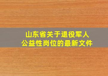 山东省关于退役军人公益性岗位的最新文件