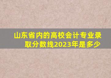 山东省内的高校会计专业录取分数线2023年是多少