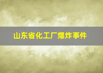 山东省化工厂爆炸事件