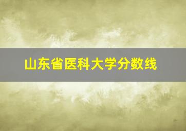 山东省医科大学分数线