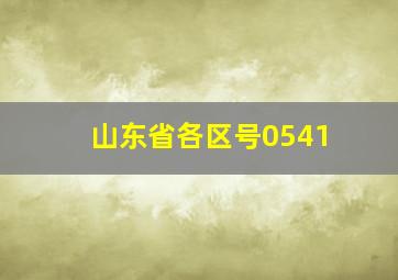 山东省各区号0541