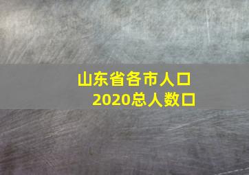 山东省各市人口2020总人数口