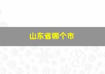 山东省哪个市