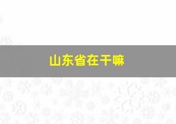 山东省在干嘛