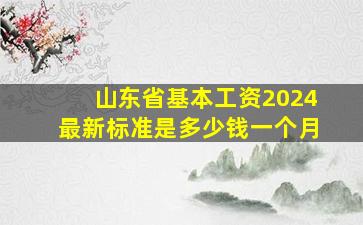 山东省基本工资2024最新标准是多少钱一个月