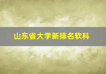 山东省大学新排名软科