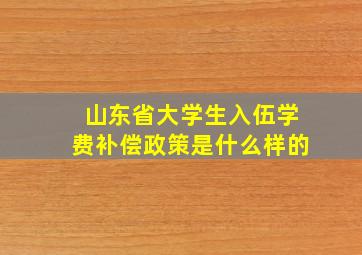 山东省大学生入伍学费补偿政策是什么样的