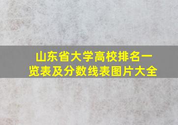 山东省大学高校排名一览表及分数线表图片大全