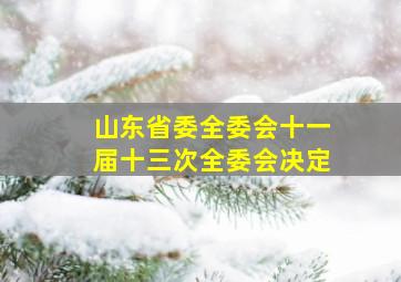 山东省委全委会十一届十三次全委会决定