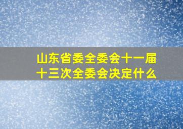 山东省委全委会十一届十三次全委会决定什么