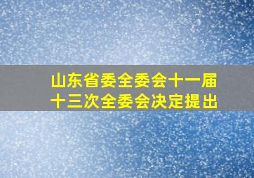 山东省委全委会十一届十三次全委会决定提出