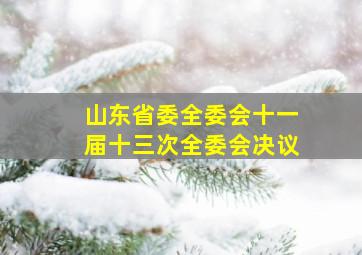 山东省委全委会十一届十三次全委会决议