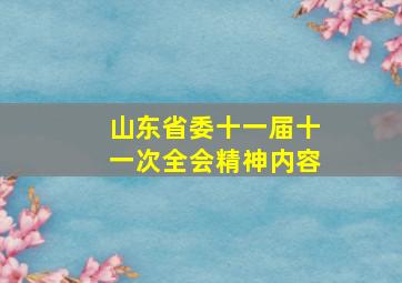 山东省委十一届十一次全会精神内容