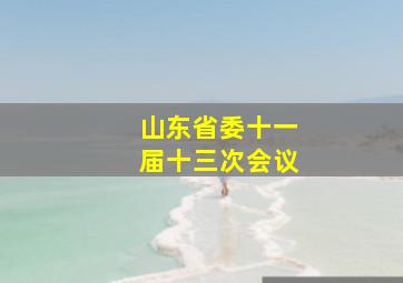 山东省委十一届十三次会议