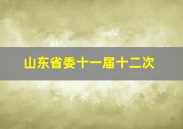 山东省委十一届十二次