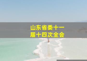 山东省委十一届十四次全会