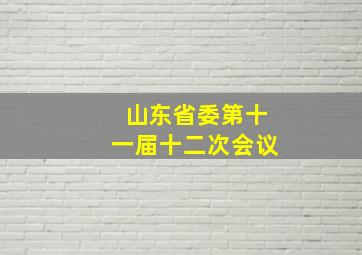 山东省委第十一届十二次会议