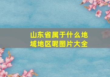 山东省属于什么地域地区呢图片大全