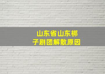 山东省山东梆子剧团解散原因