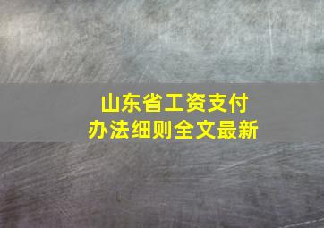 山东省工资支付办法细则全文最新