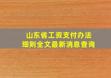 山东省工资支付办法细则全文最新消息查询