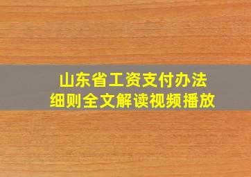 山东省工资支付办法细则全文解读视频播放