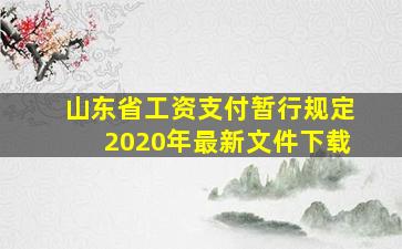 山东省工资支付暂行规定2020年最新文件下载