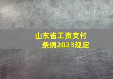 山东省工资支付条例2023规定