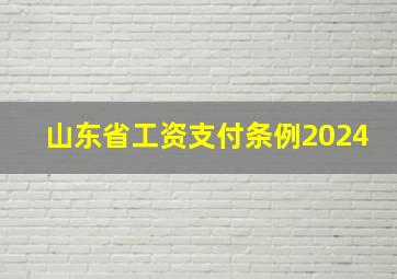 山东省工资支付条例2024