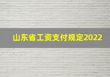 山东省工资支付规定2022