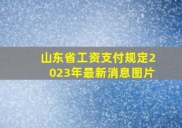 山东省工资支付规定2023年最新消息图片