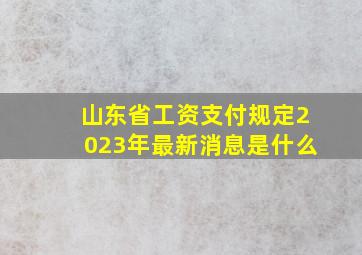 山东省工资支付规定2023年最新消息是什么