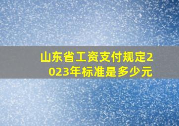 山东省工资支付规定2023年标准是多少元