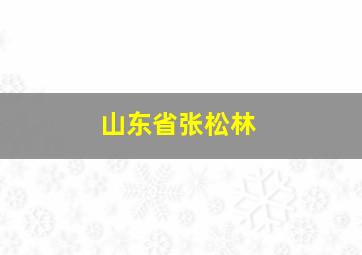 山东省张松林