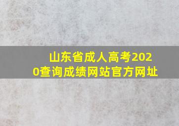 山东省成人高考2020查询成绩网站官方网址